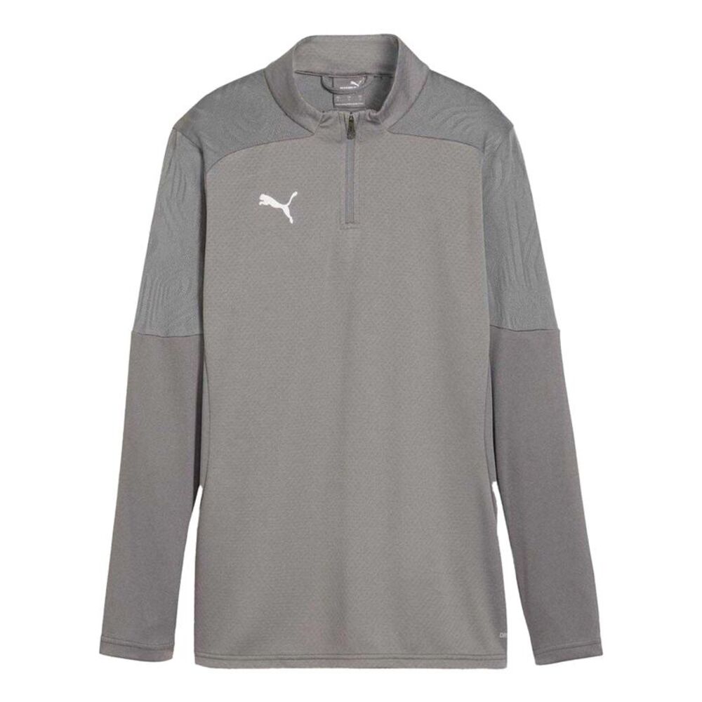 Puma Mens Training Quarter Zip Track Top / Gray